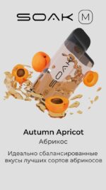 Одноразовая ЭС SOAK M 4000 - Autumn Apricot (Абрикос)