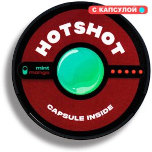 HotShot - Mint Mango (Манго мята) 70